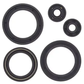Winderosa Aten-po474971-46 1993 Polaris Big Boss 350l 6x6 Atv Vertex Engine Oil Seal Kit