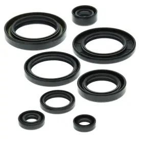 Winderosa Aten-su475539-17 1988-1990 Suzuki Lt-500r Atv Vertex Engine Oil Seal Kit