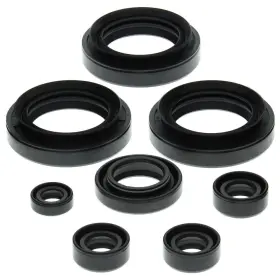 Winderosa Aten-su475555-19 1987-1998 Suzuki Lt-4wd 250 Quad Runner Atv Vertex Engine Oil Seal Kit