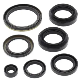 Aten-su476243-05 Winderosa 2002-2007 Suzuki Lt-a400 Eiger 2wd Atv Vertex Engine Oil Seal Kit