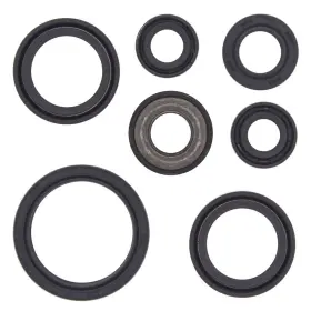Winderosa Aten-ya476067-83 2001-2005 Yamaha Yfm660r Raptor Atv Vertex Engine Oil Seal Kit 102mm Big Bore