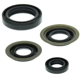 Winderosa Aten-ya476819-77 1986-1988 Yamaha Yfm225 Moto-4 Atv Vertex Engine Oil Seal Kit