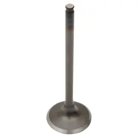Wiseco Aten-ya324203-02 2014-2015 Yamaha Yfm 700 F Grizzly Atv Pro-x Engine Intake Valve Steel