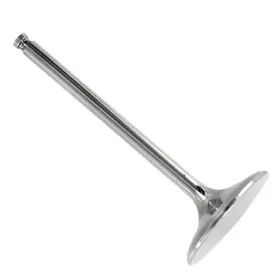 Atti-ya315163-72 Wiseco 2004-2009 Yamaha Yfz450 Atv Titanium Intake Valve