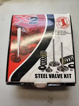 Xceldyne X2vik13000 X2 Intake Valve Kit -