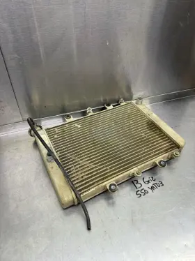 Yamaha 1hp-e2460-00-00 13 14 Grizzly 700 550 Eps Hunter Oem Radiator