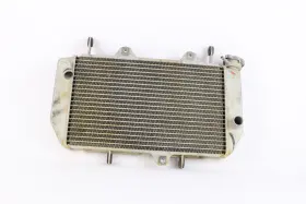 Yamaha 1td-e2460-02-00 2022 Yfz450r Engine Radiator Motor Cooler Cooling Radiater T9387