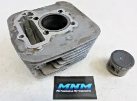 Yamaha 3fa-11310-00-00 04-13 Grizzly 125 Yfm125 Genuine Engine Motor Cylinder Piston Std Bore