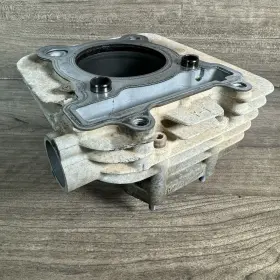 Yamaha 4d3-11311-01-00 2008-2013 Raptor 250 Cylinder Jug Barrel
