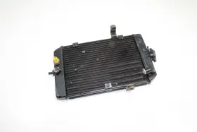 5lp-12405-00 Yamaha 2001 01-05 Raptor 660 Radiator Cooling Tank With Lid Oem Nice Yfm660r
