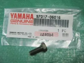 Yamaha 97017-06016 1985-2024 Big Bear Kodiak Cam Chain Adjuster Guide Bolt Qty3