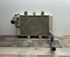 Polaris 1240130 Oem Radiator With Cap 2003-2007 Predator 500/500LE Atv Used. Price: $29.99.