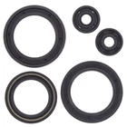 2003 Polaris Trail Blazer 400 Atv Vertex Engine Oil Seal Kit New. Price: $26.45.