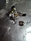 Rare! Polaris Mikuni Oem 3084755 Oil Pump Fits 1994 400L Used. Price: $50.00.