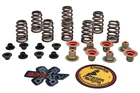 Polaris Rzr 900 Turbo Kibblewhite Beehive Race Valves Springs Kit New. Price: $209.39.