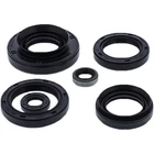 Vertex Oil Seal Set 822881 New. Price: $34.56.