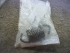 Polaris Atv 2015-2016 Sportsman 1000 Exhust Spring New Oem 7044452. Price: $12.99.
