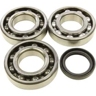 Balls 24-1090 Crankshaft Bearing Kit New. Price: $108.57.