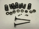 2002 Arctic Cat 375 Automatic 4X4 Red Valves With Springs Used. Price: $84.11.