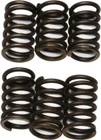 Ebc Clutch Spring Kit For Kawasaki ZR1100 Zephyr 1992-1995 CSK23 New. Price: $19.86.