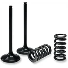 Pro-x 28.SIS4406-2 Steel Intake Valve And Spring Kit New. Price: $159.95.