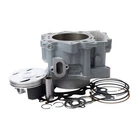 2014 Yamaha Grizzly 700 Cylinder Works Standard Bore Kit 10.1:1 New. Price: $628.96.