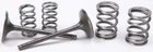Pro X Steel Valves And Spring Kits Intake 28.SIS4406-2 New. Price: $150.26.