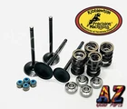 Yamaha Raptor 700 Kibblewhite +2 Intake & Exhaust Valves Springs Seals Head Kit New. Price: $285.06.
