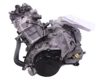 Arctic Cat Prowler 650 06-09 Engine Motor Rebuilt Stock Ready Ship Remanufactured. Price: $3749.99.