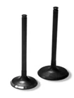 Bronco Intake Valve AU-09234I New. Price: $12.68.