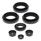 1998-2005 Arctic Cat 300 4X4 Atv Vertex Engine Oil Seal Kit New. Price: $32.16.