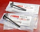 Yamaha Raptor TTR125, Engine Oem Intake & Exhaust Valves New. Price: $62.95.