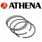 Athena Piston Ring Set For 1988-1993 Polaris Trail Boss 250 2X4 Engine Jk New. Price: $41.88.