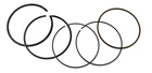 Namura .020 Over Bore Piston Rings Kawasaki 650 Brute Force & Prairie 80.5MM New. Price: $19.95.