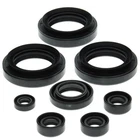 Vertex Oil Seal Kit - 822152 New. Price: $34.32.