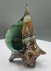 Sumo Art Glass Studio Conch Seashell Brown, Tan & White -teal Inside 6.5" Euc Used. Price: $111.75.