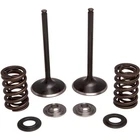 Kibblewhite Stainless Steel Intake Valve Kit 30-31210 New. Price: $185.95.