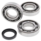 Balls Crank Shaft Bearings 24-1090 Polaris Atp 500 4X4 05 New Ships Today. Price: $108.57.