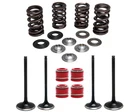 18-24 Kibblewhite Intake & Exhaust Valves Titanium Spring Kit New. Price: $314.86.