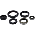 Vertex Oil Seal Kit 822690 New. Price: $41.05.