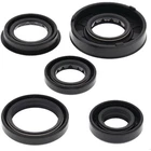 Vertex Oil Seal Kit 822322 New. Price: $23.51.