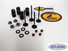 Kibblewhite Black Diamond Intake Exhaust Valves Springs Ltr 450 2006-2009 New. Price: $316.74.