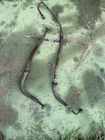 99-02 Kawasaki Prairie KVF300 Genuine Engine Motor Oil Cooler Hoses Line Used. Price: $20.00.
