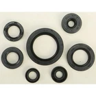 Vertex Oil Seal Set 822690 New. Price: $39.85.