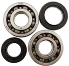 Balls 24-1054 Crankshaft Bearing Kit New. Price: $60.35.